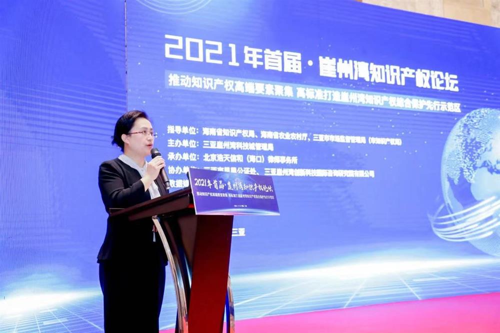 海南自由贸易港知识产权法院院长夏君丽