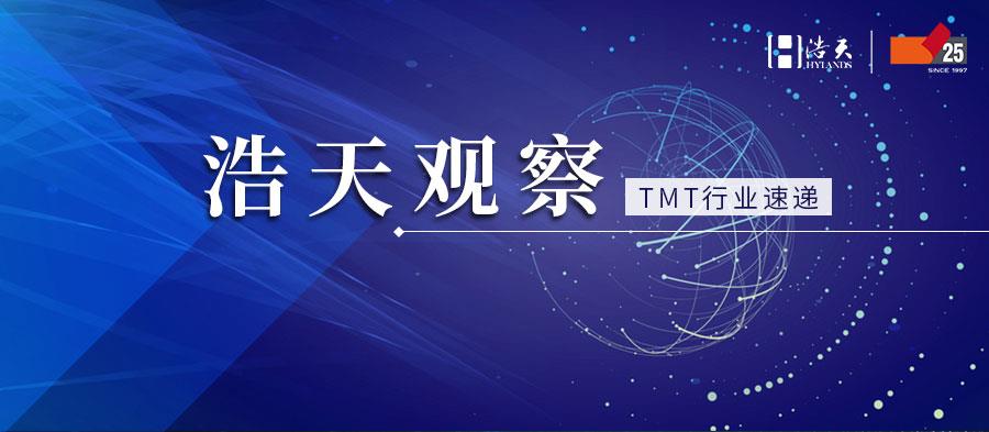 tmt